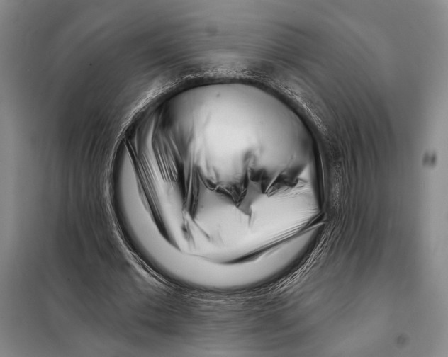 X0000097970677200804211012