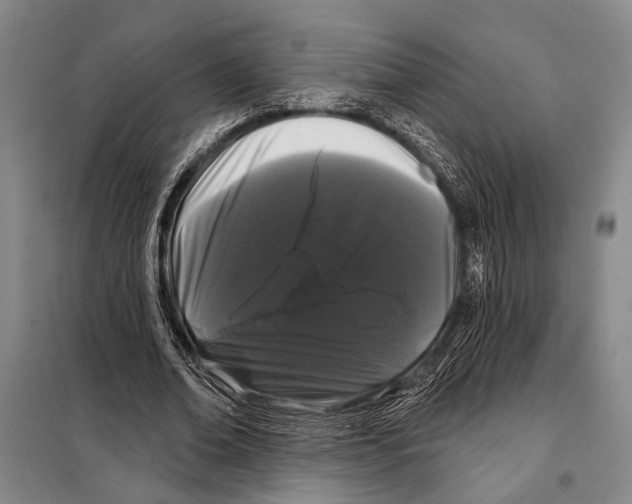 X0000097970678200804211012