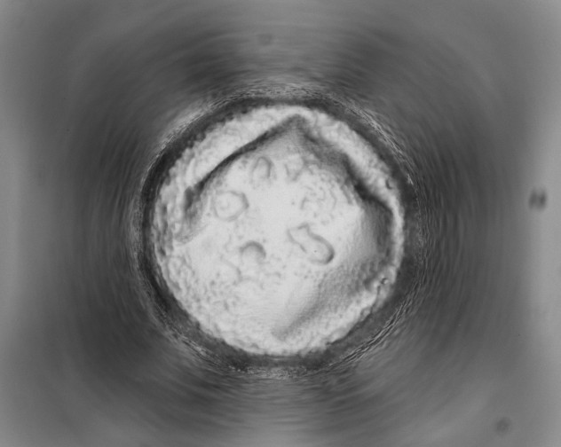 X0000097970679200804211012