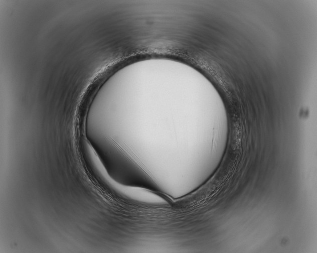 X0000097970680200804211012