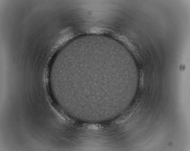 X0000097970683200804211012