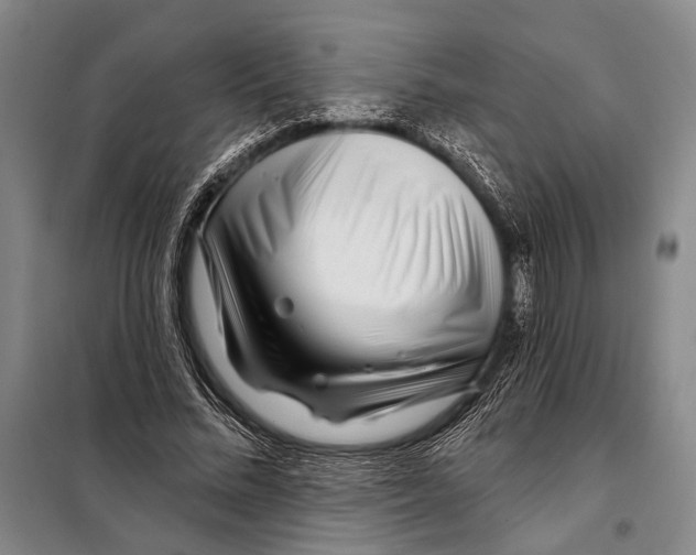 X0000097970684200804211012