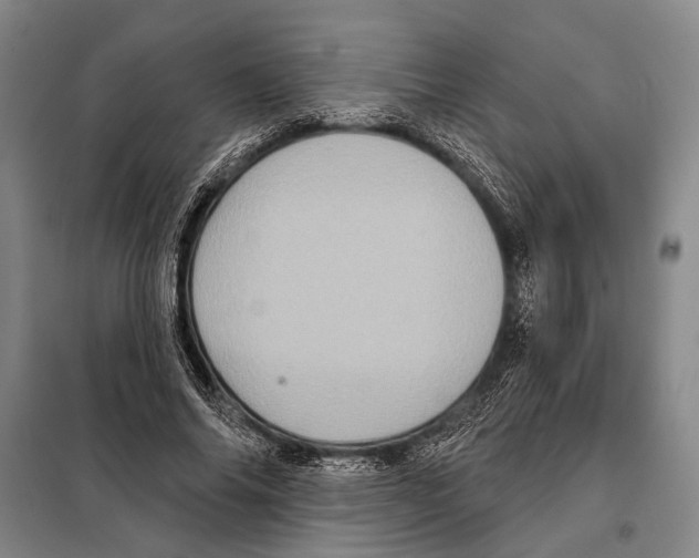 X0000097970686200804211012