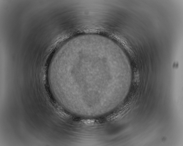 X0000097970687200804211012