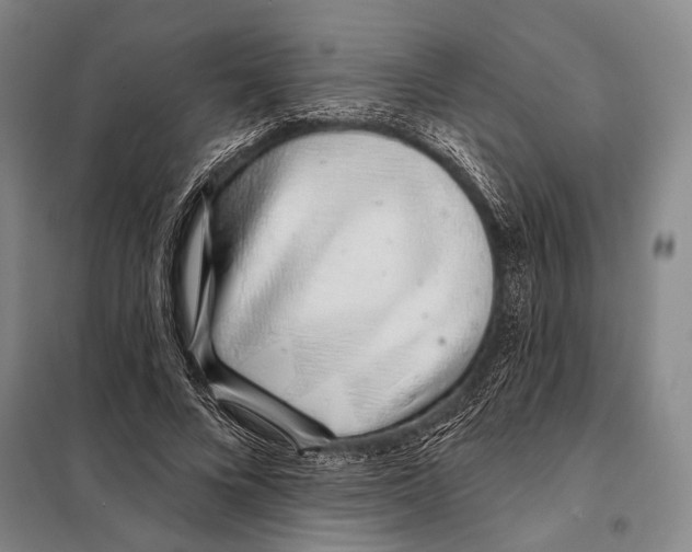 X0000097970688200804211012