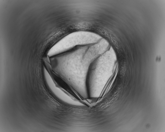 X0000097970689200804211012