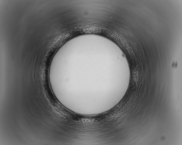 X0000097970690200804211012