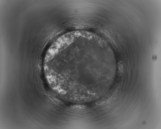 X0000097970691200804211012