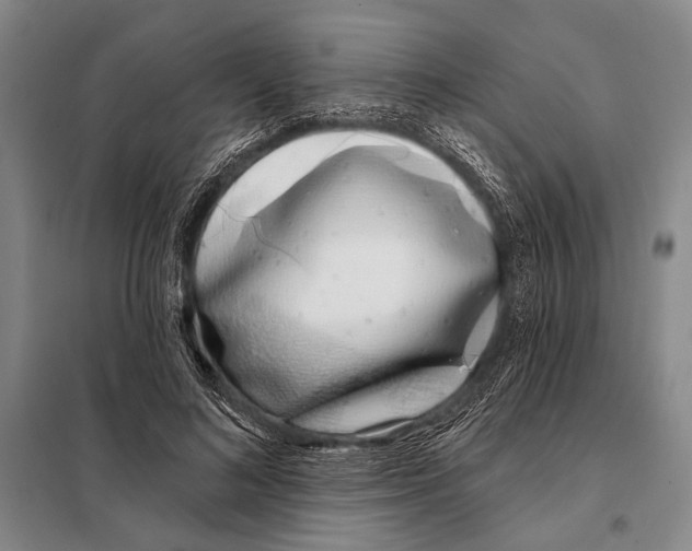 X0000097970692200804211012