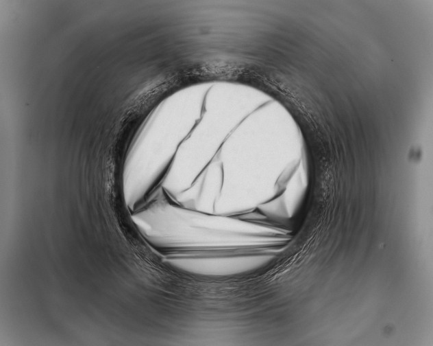 X0000097970693200804211012