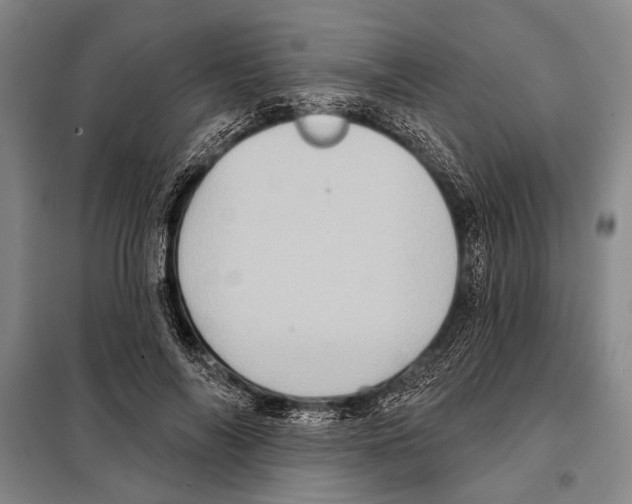 X0000097970694200804211012