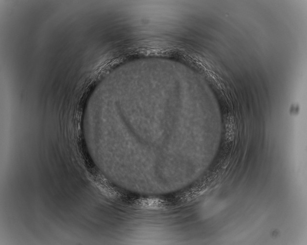 X0000097970695200804211012