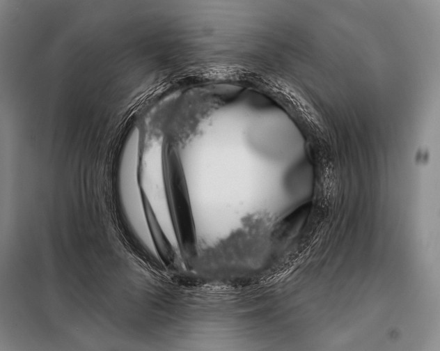 X0000097970696200804211012