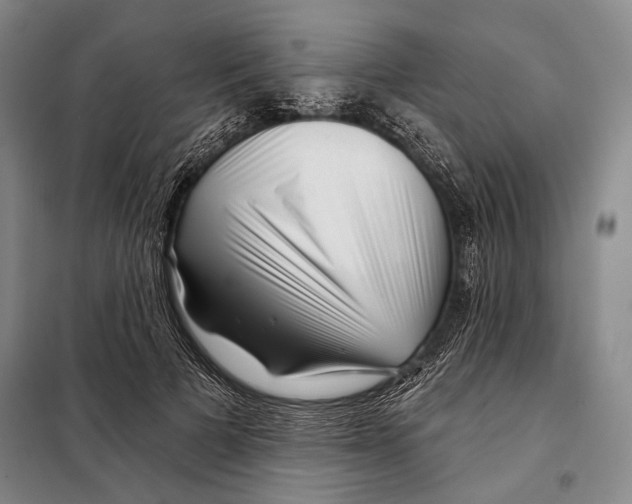 X0000097970697200804211012
