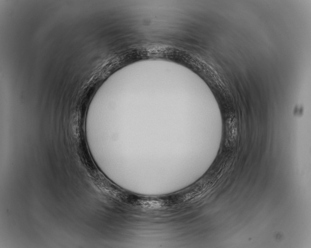 X0000097970698200804211012