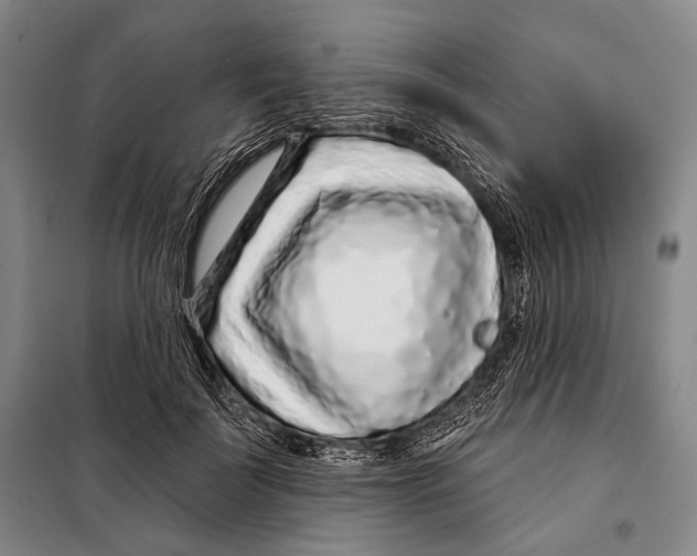 X0000097970699200804211012