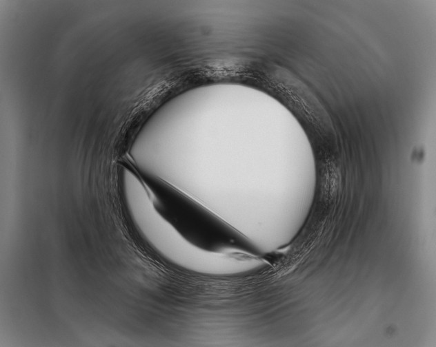 X0000097970700200804211012