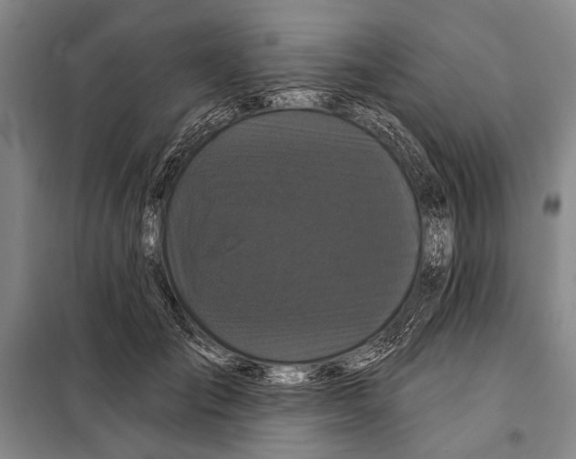 X0000097970701200804211012