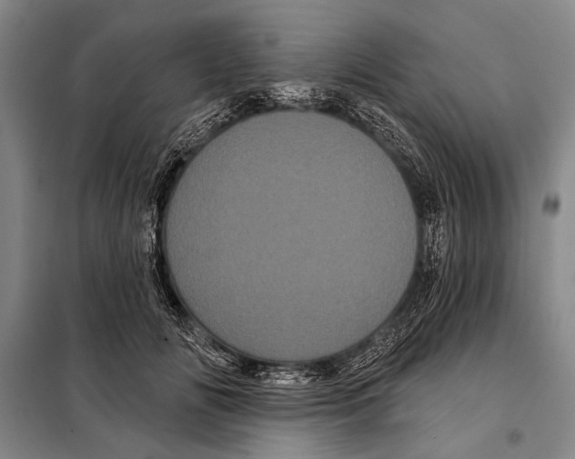X0000097970702200804211012