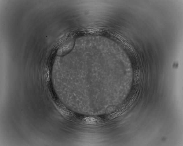X0000097970703200804211012