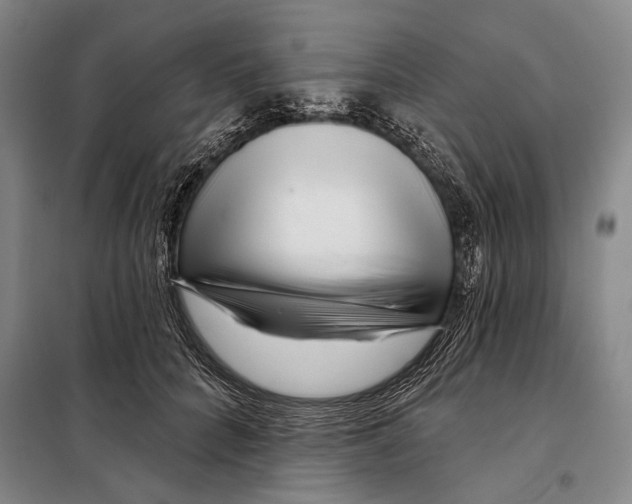 X0000097970704200804211012