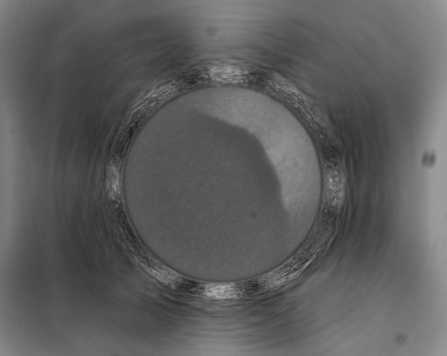 X0000097970705200804211012