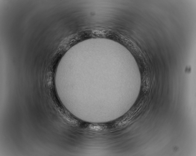 X0000097970706200804211012