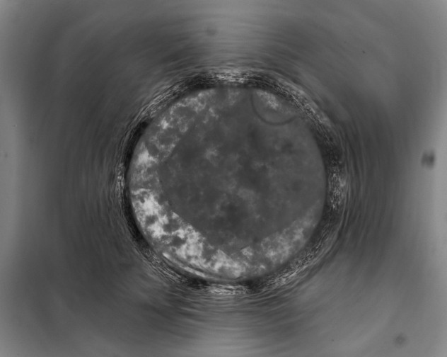 X0000097970707200804211012