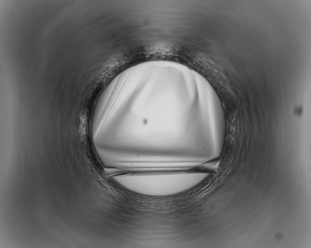X0000097970708200804211011