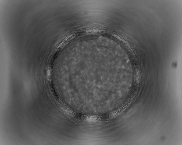 X0000097970709200804211011