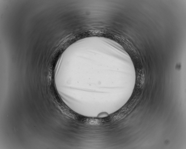 X0000097970710200804211011