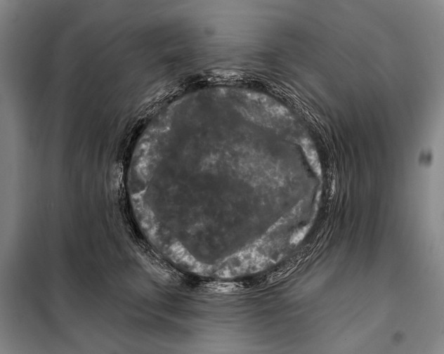 X0000097970711200804211011