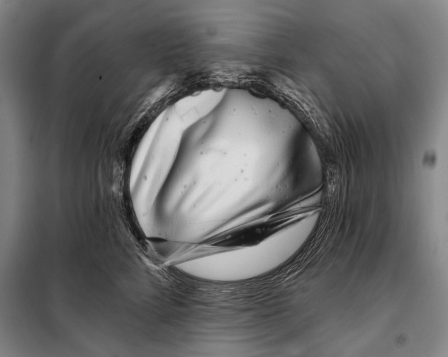 X0000097970712200804211011