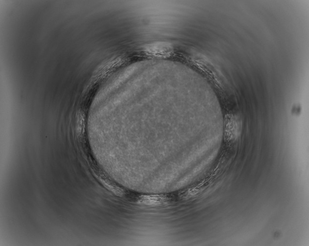 X0000097970713200804211011