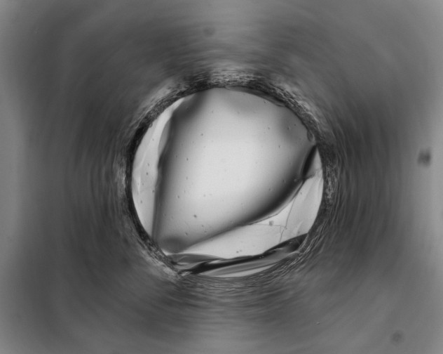 X0000097970716200804211011