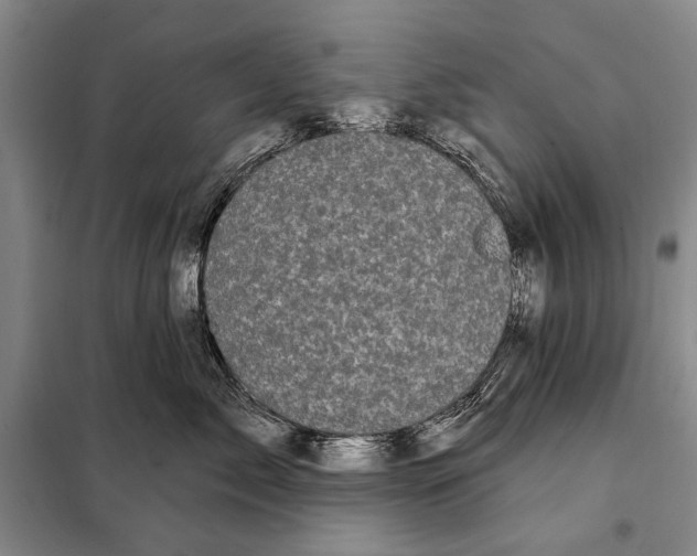 X0000097970717200804211011
