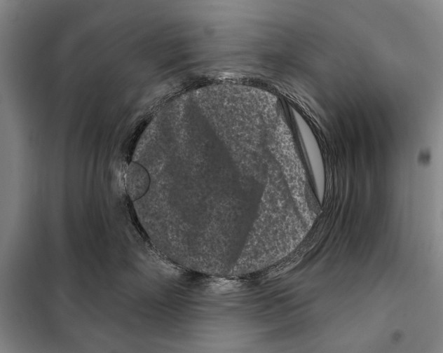 X0000097970718200804211011