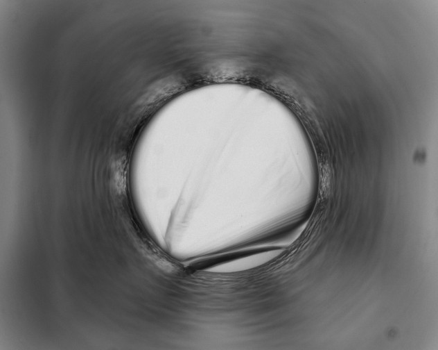 X0000097970719200804211011