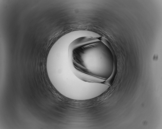 X0000097970720200804211011