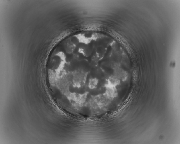 X0000097970721200804211010