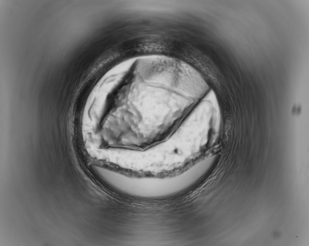 X0000097970722200804211010