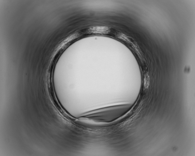 X0000097970725200804211011