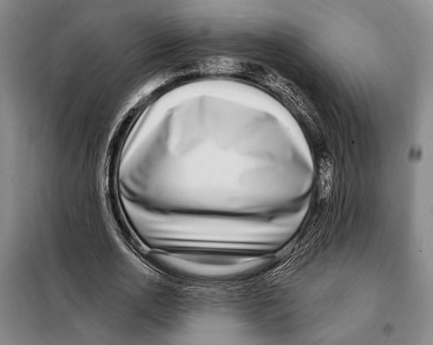X0000097970726200804211011