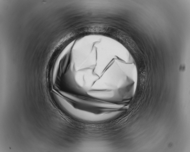 X0000097970727200804211011