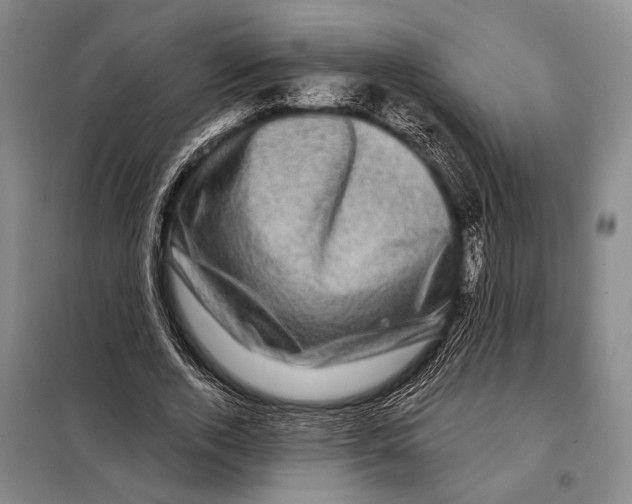 X0000097970728200804211011