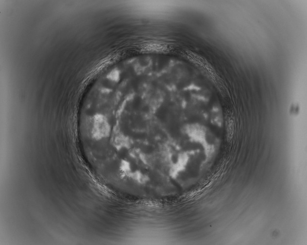 X0000097970729200804211011