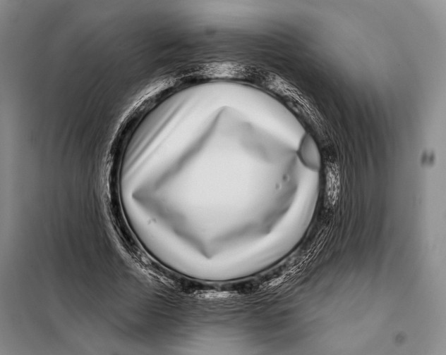 X0000097970730200804211011