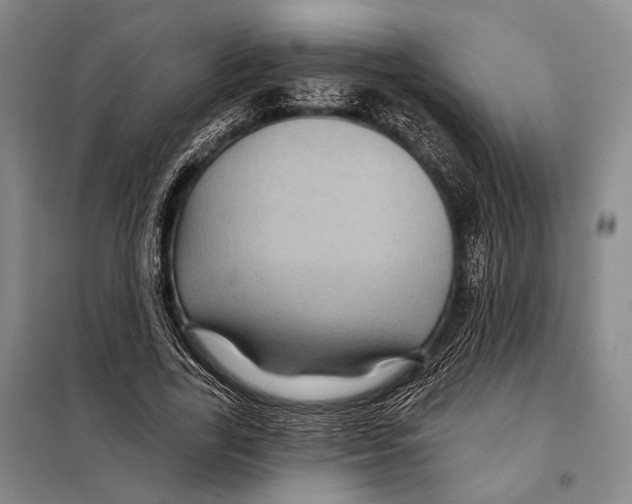 X0000097970731200804211011