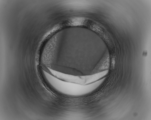 X0000097970732200804211011