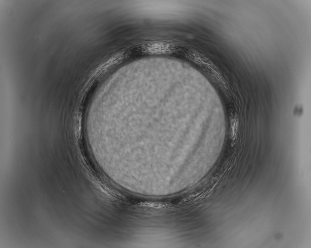 X0000097970733200804211011